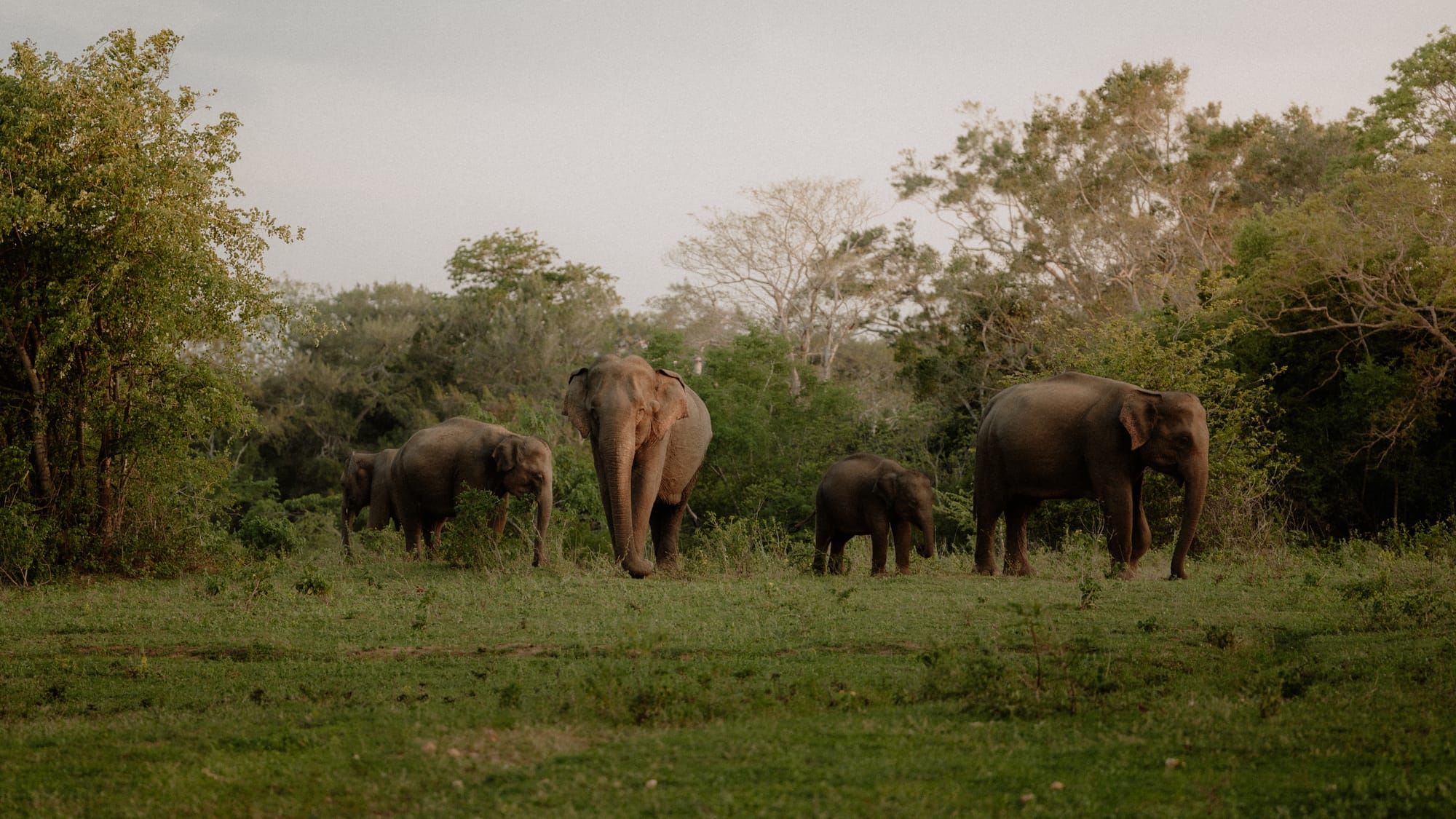 A little bit of wilderness at Kingdom Ecolodge